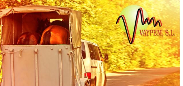 Curso de Transporte de Animales Vivos: Homologado, y más rápido con Vaypem